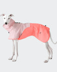 Hunderegelmantel Aktiv Peach