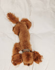 Hundehalsband Etna Petite Green XS