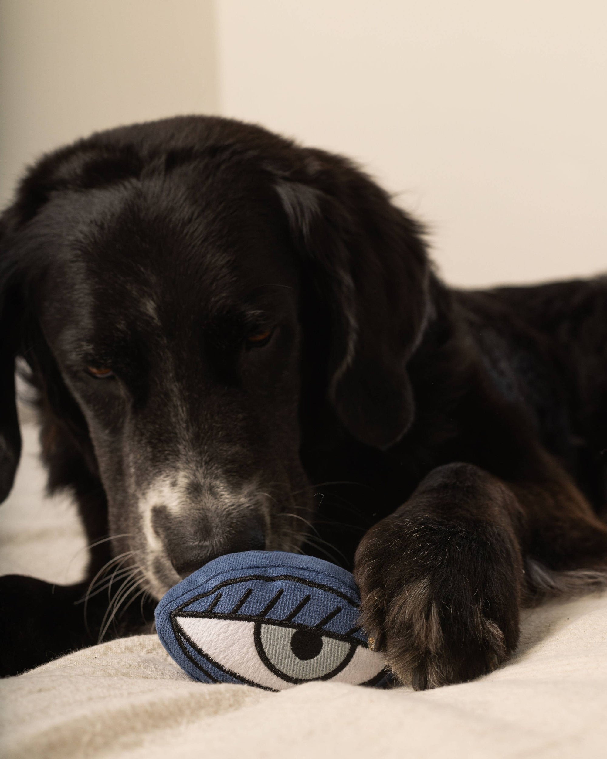 PICASSO//BEREICHERUNGSSPIELZEUG FÜR HUNDE