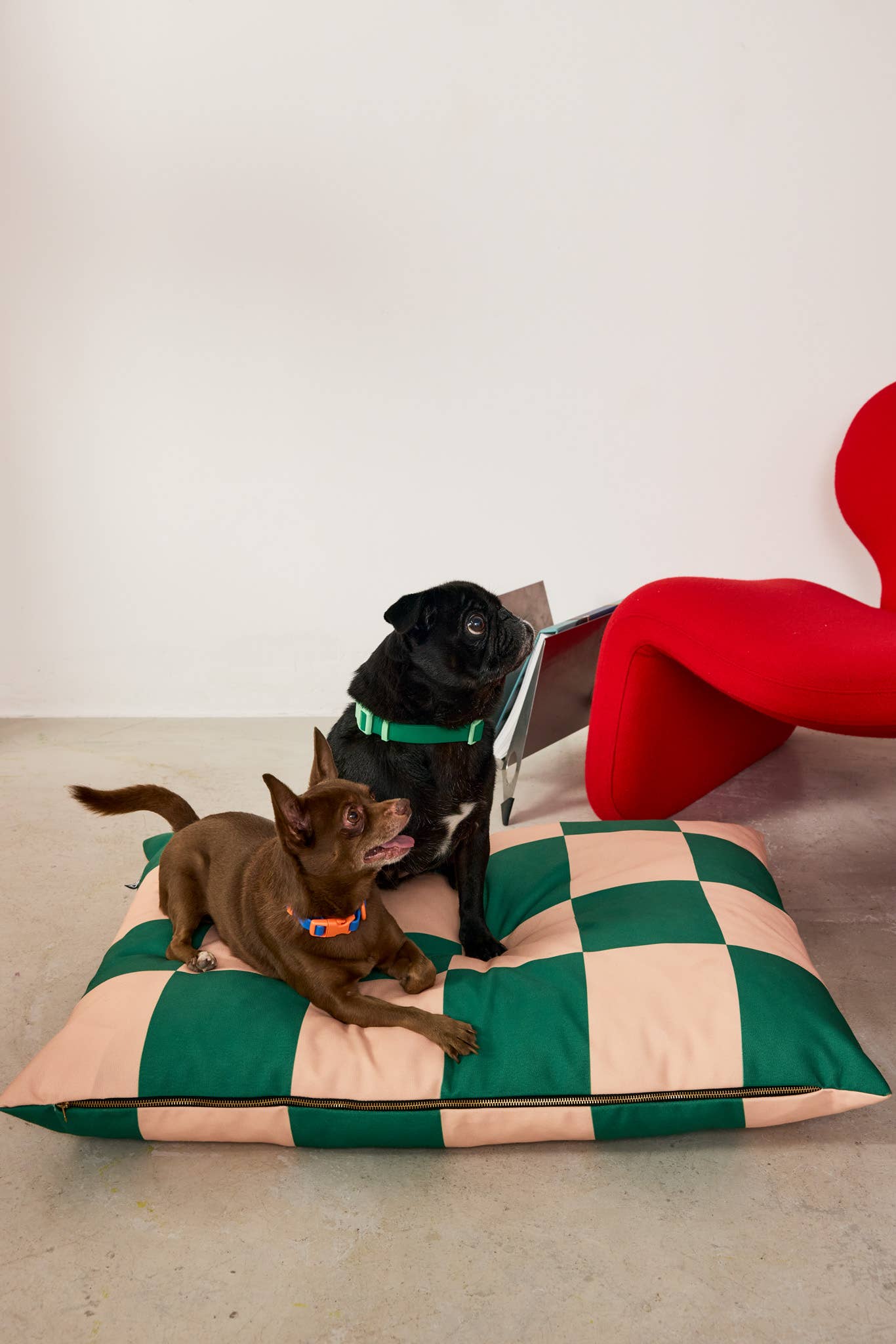 The Fritz Bed Standard dog bed, green checkered