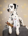 Shawn the Snowman Dog Toy Laboni