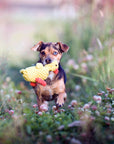 Emma Ente Hundespielzeug Laboni