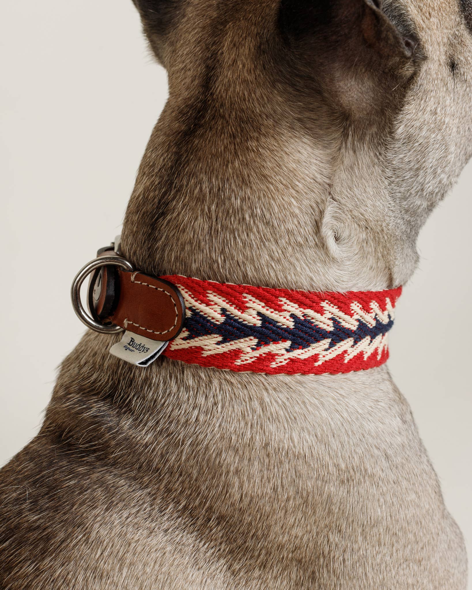 Hundehalsband Peruvian Arrow Rot: L