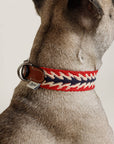 Hundehalsband Peruvian Arrow Rot: M