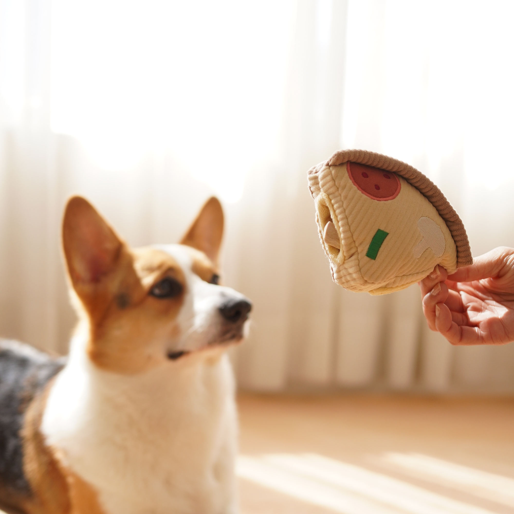 Hundespielzeug Schnüffelspiel Pizza