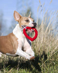 Hertha Heart: Medium Dog Toy Laboni