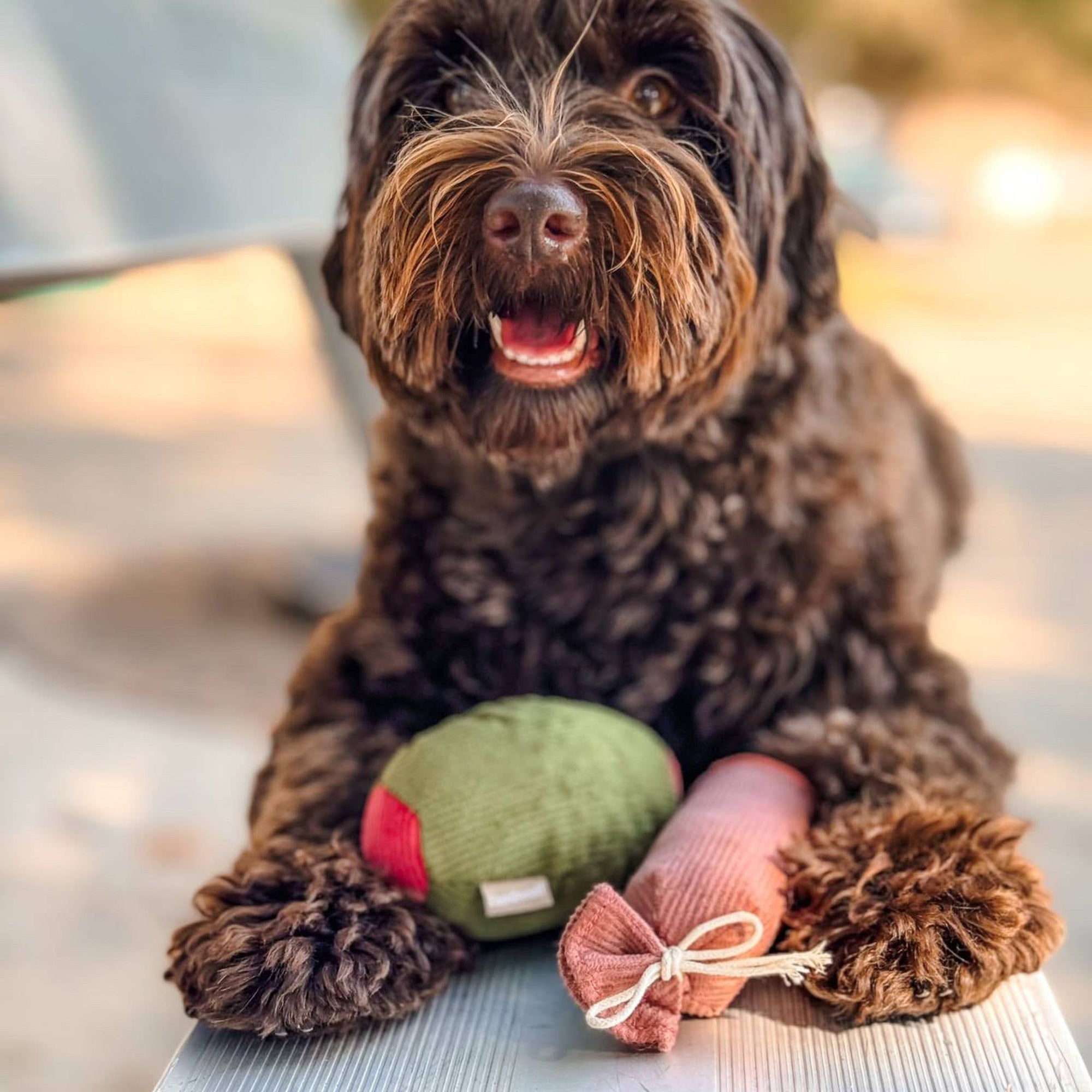 Hundespielzeug Olive + Salami