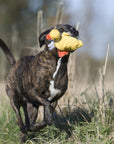 Emma Ente Hundespielzeug Laboni