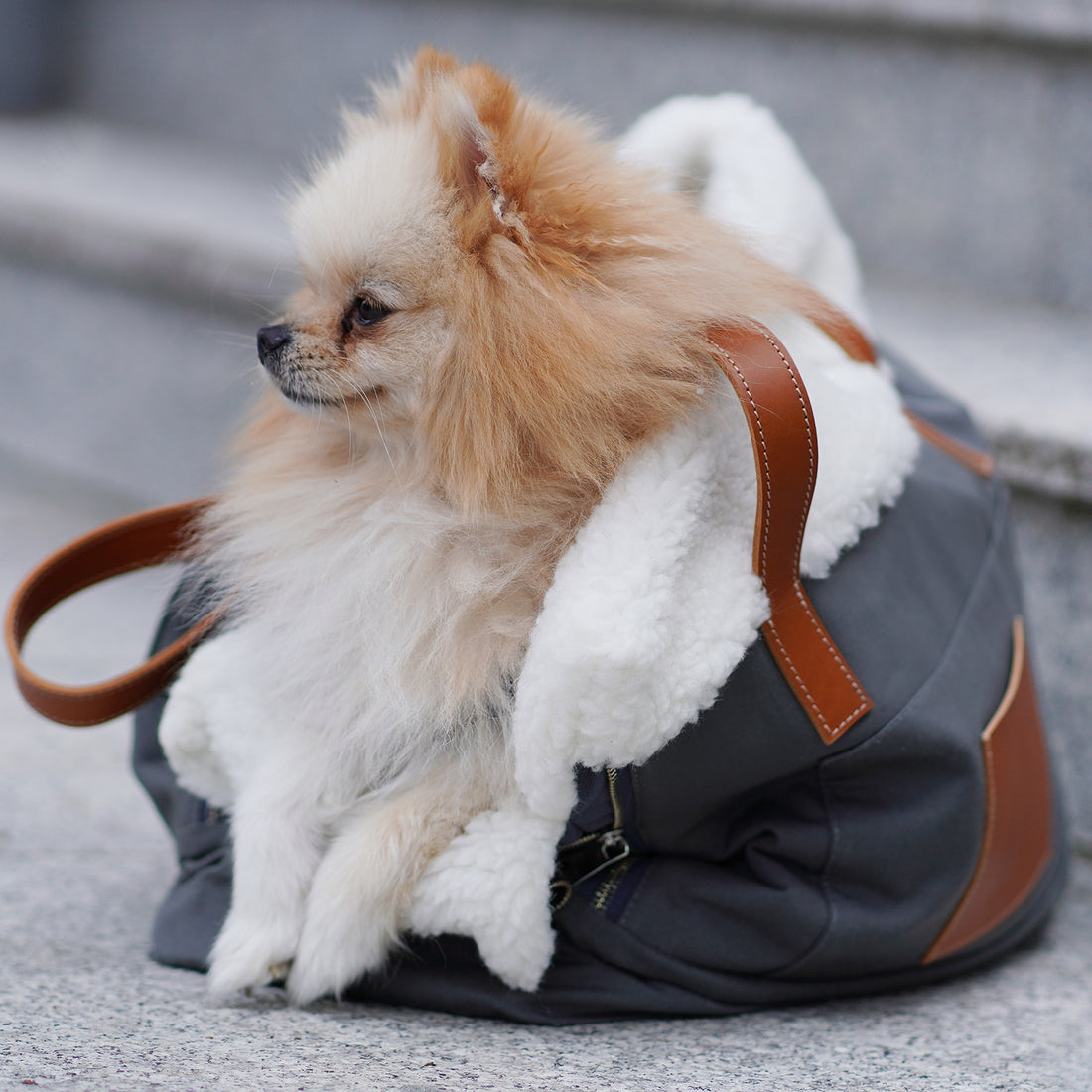 Dog carrier and personal bag Liiva grey