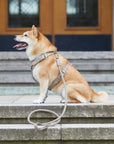 Leather dog harness Sand