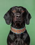 Hundehalsband Etna Green L