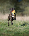 Emma Ente Hundespielzeug Laboni