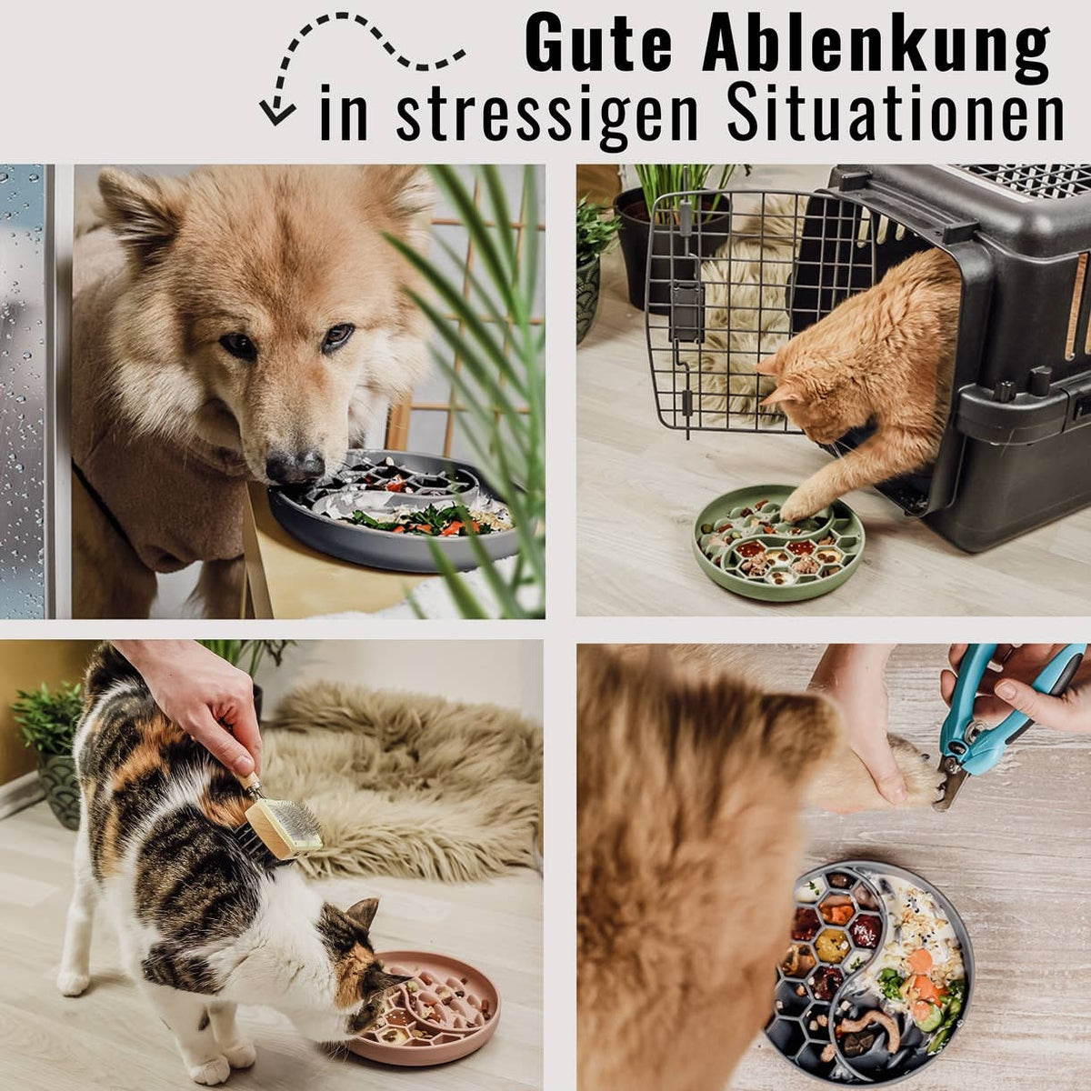 Ne&amp;no® Anti-Schlingnapf / Schleckschale für Hunde &amp; Katzen: Stone Grey