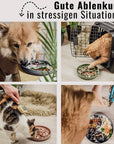 Ne&no® Anti-Schlingnapf / Schleckschale für Hunde & Katzen: Stone Grey