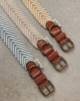 Hundehalsband Portixol Sea Collar//Summer Edition//: M