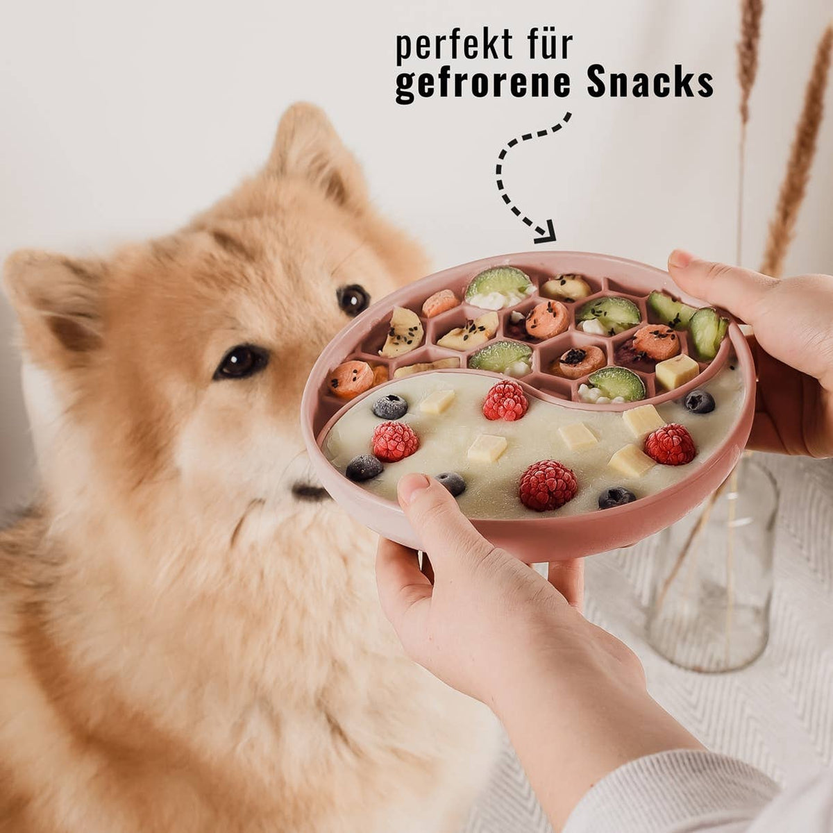 Ne&amp;no® Anti-Schlingnapf / Schleckschale für Hunde &amp; Katzen: Stone Grey