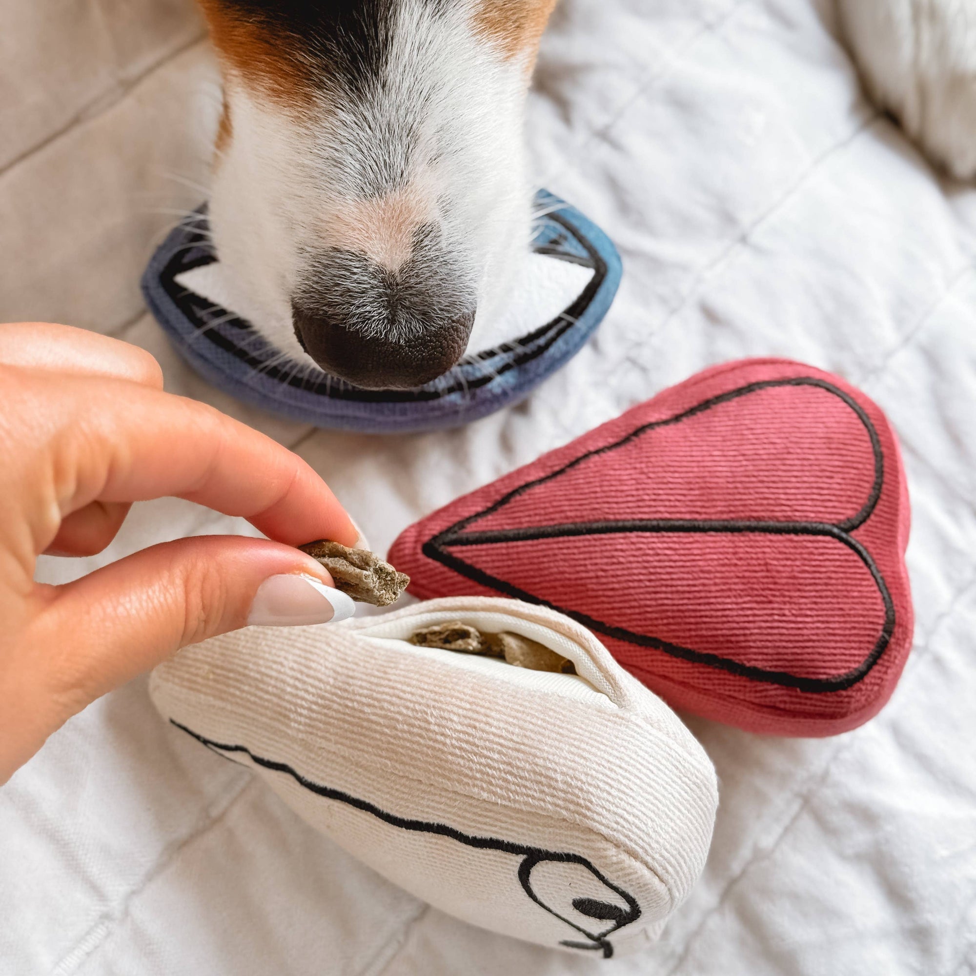 PICASSO//BEREICHERUNGSSPIELZEUG FÜR HUNDE