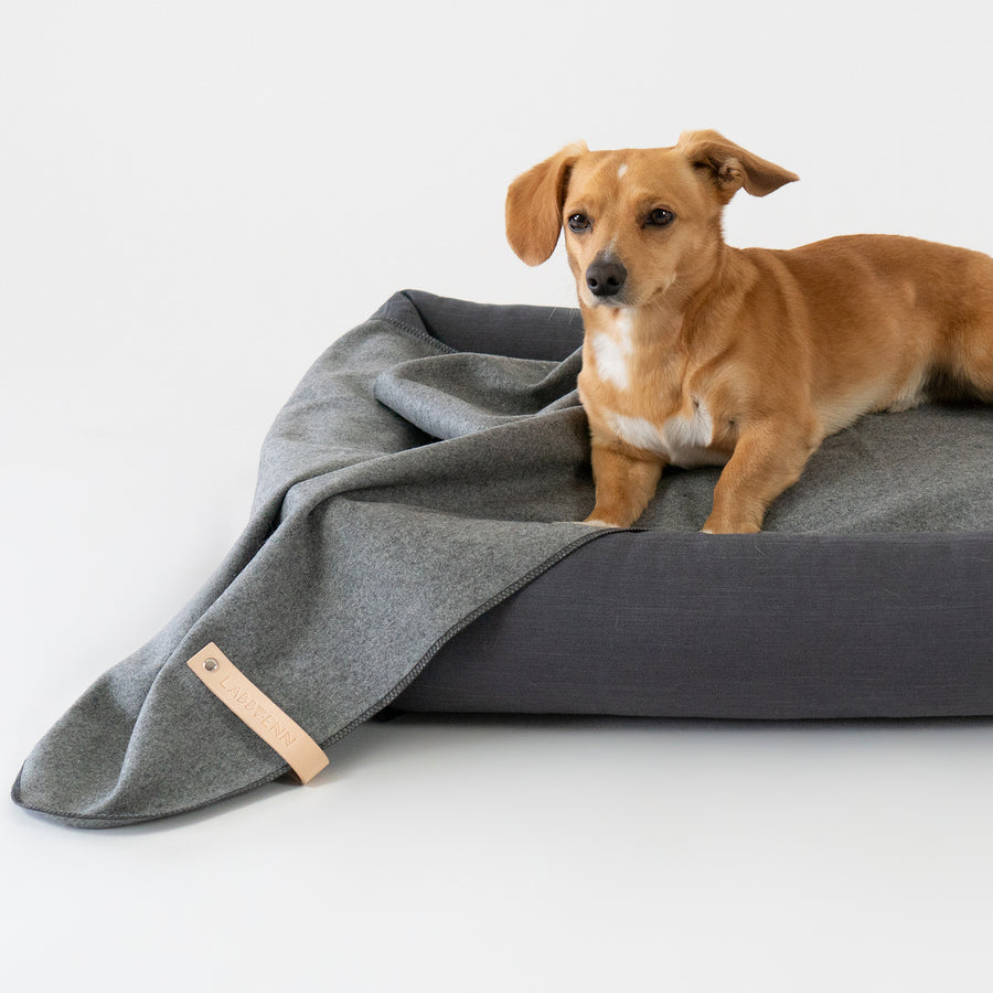 Dog Travel Blanket Åsnen Silver 
