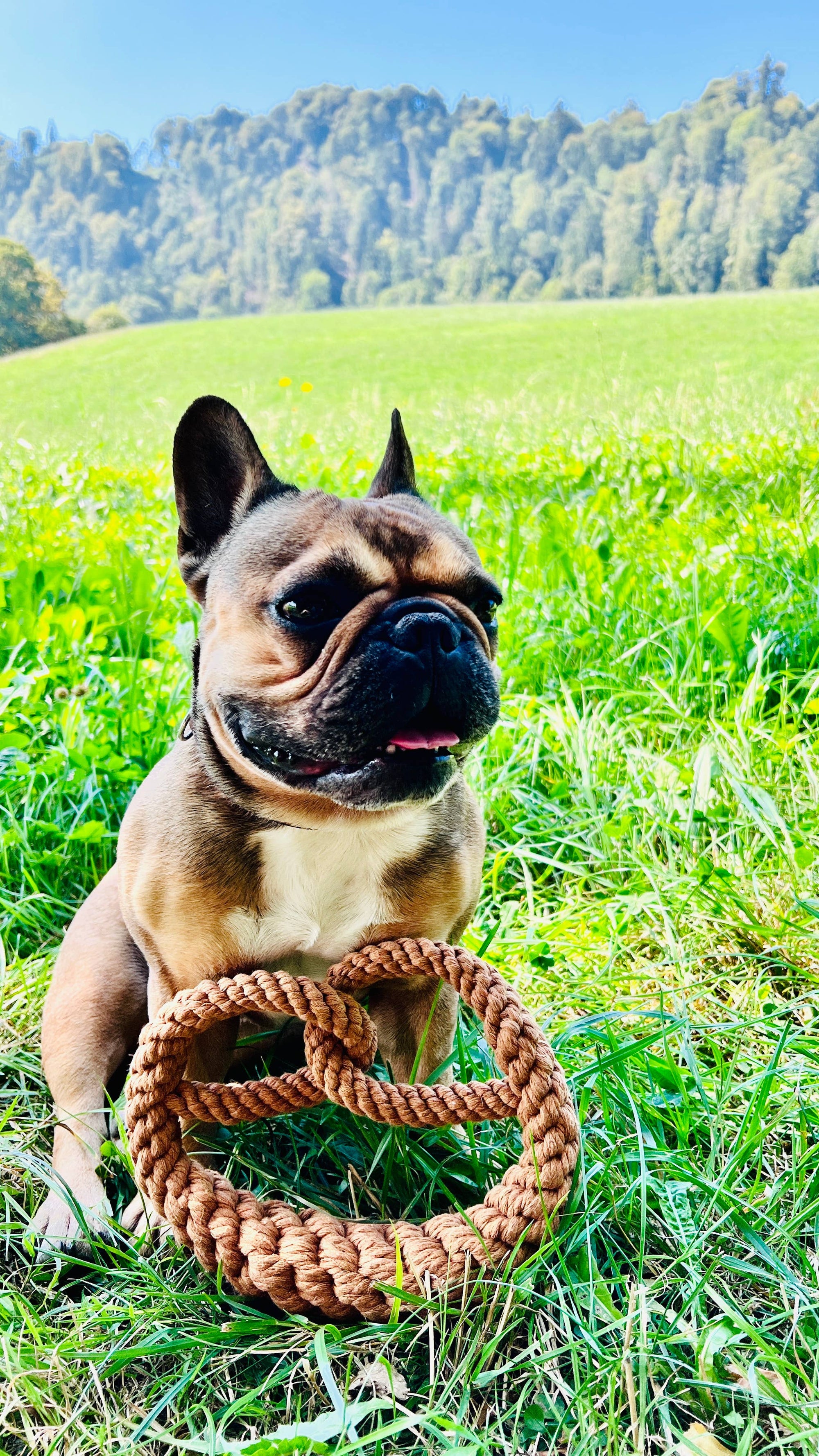 Brezel Hundespielzeug Laboni