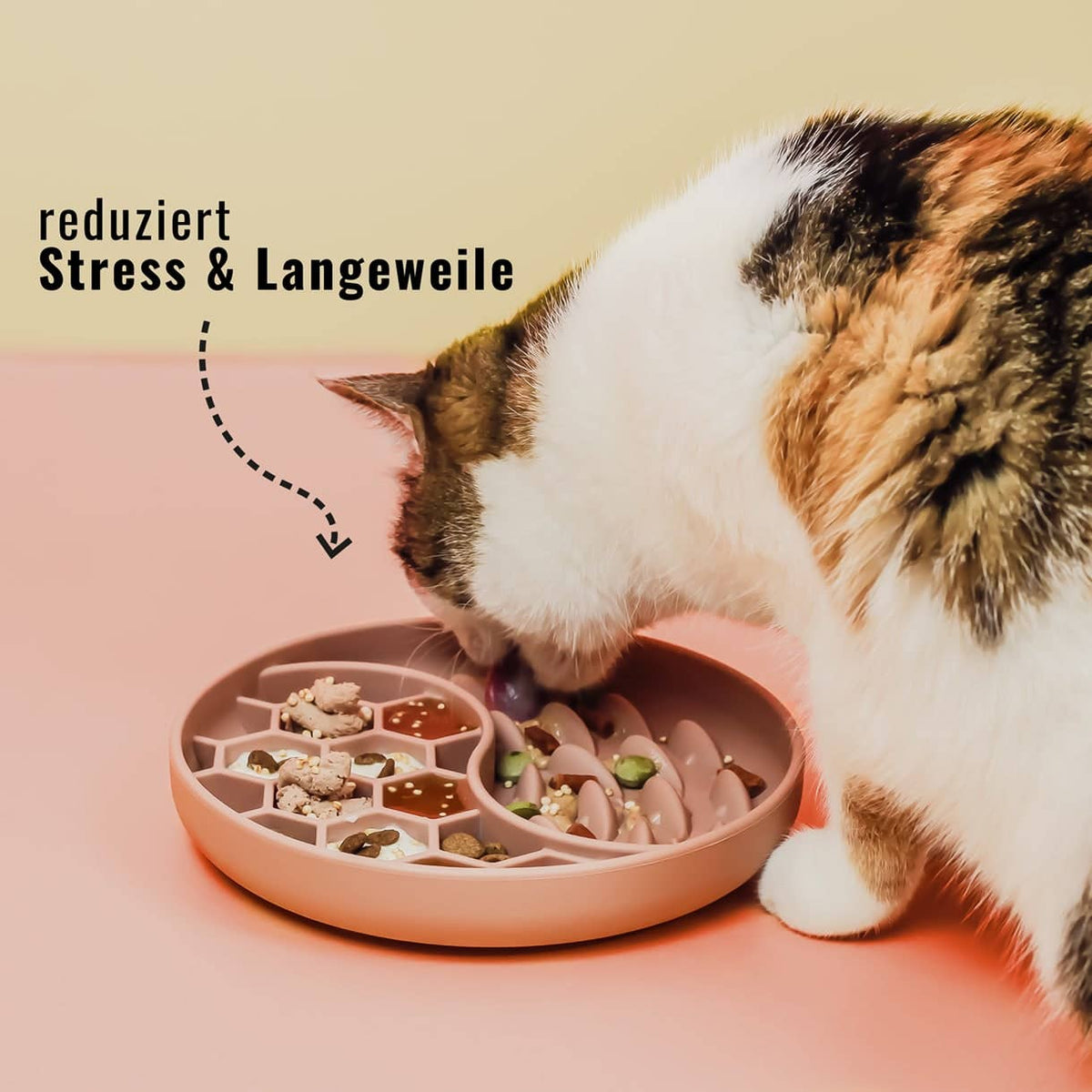 Ne&amp;no® Anti-Schlingnapf / Schleckschale für Hunde &amp; Katzen: Stone Grey
