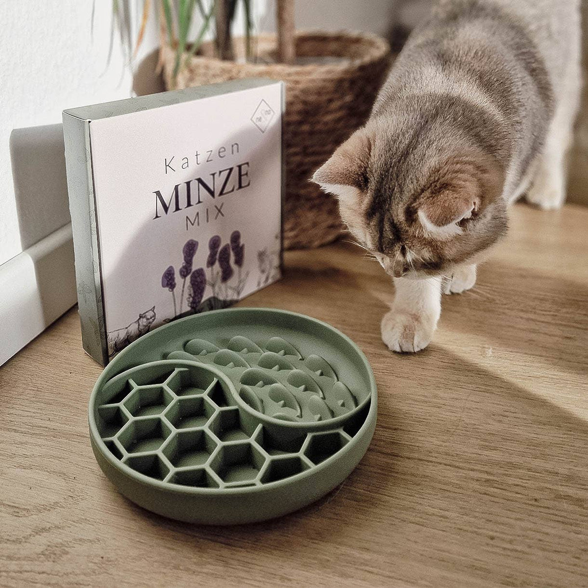 Ne&amp;no® Anti-Schlingnapf / Schleckschale für Hunde &amp; Katzen: Stone Grey