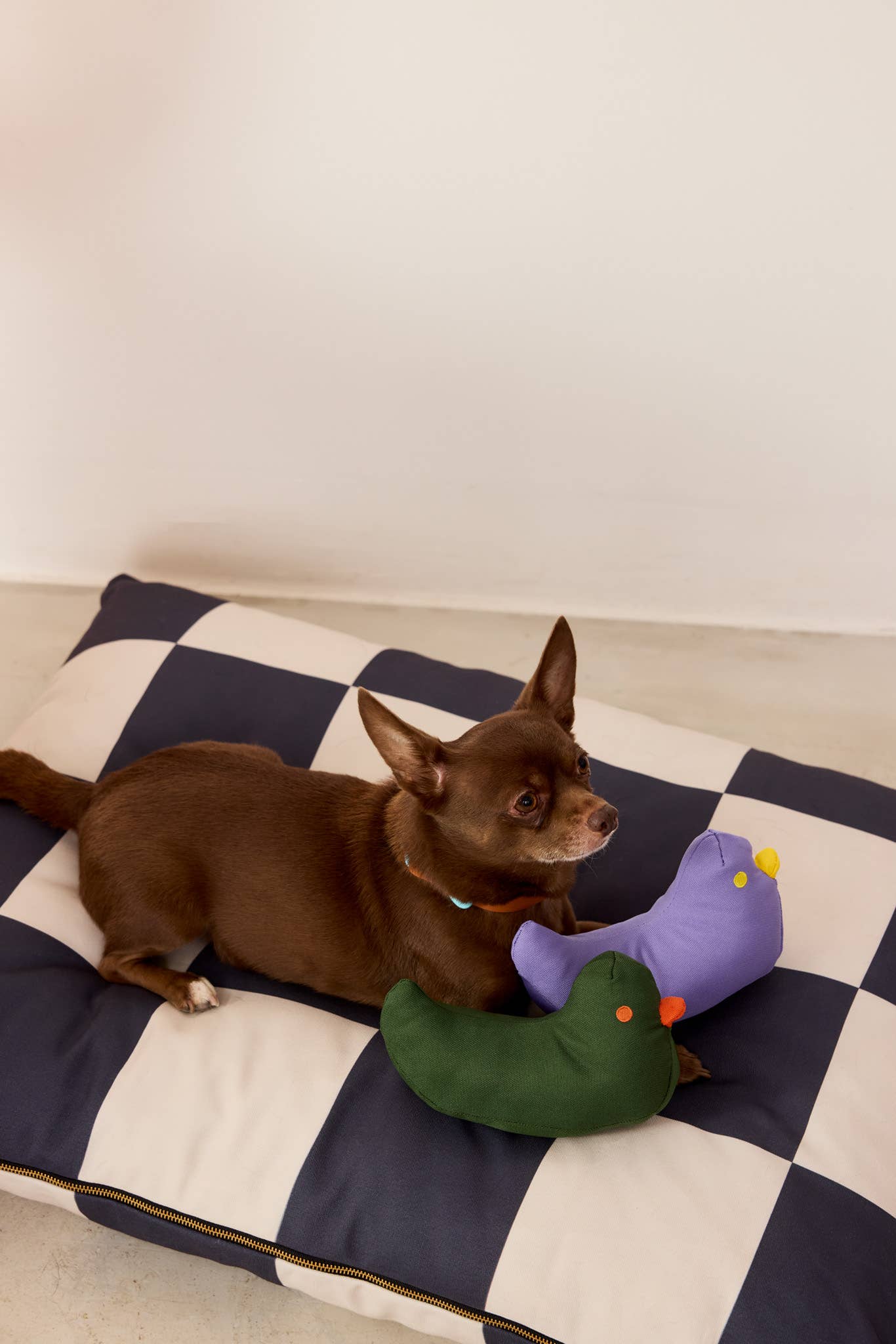 Hundebett The Fritz Bed Standard Schwarz kariert