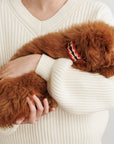 Hundehalsband Peruvian Petite Arrow Rot: XS
