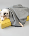 Dog Travel Blanket Åsnen Silver 