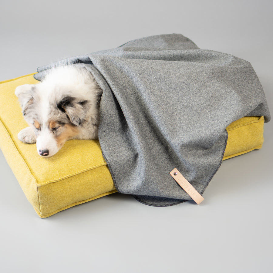 Dog Travel Blanket Åsnen Silver 