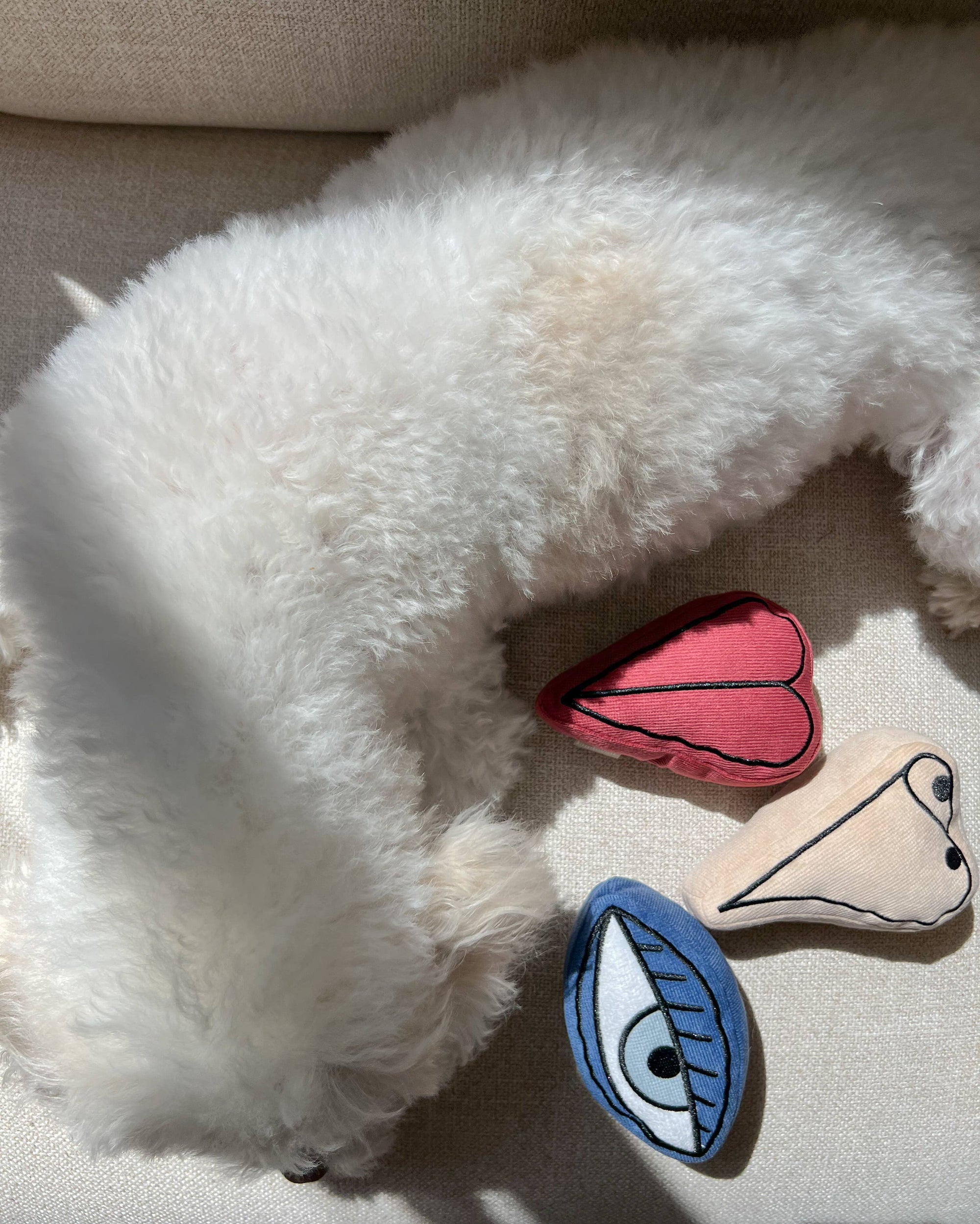 PICASSO//BEREICHERUNGSSPIELZEUG FÜR HUNDE