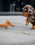 Diego Dackel Hundespielzeug Laboni