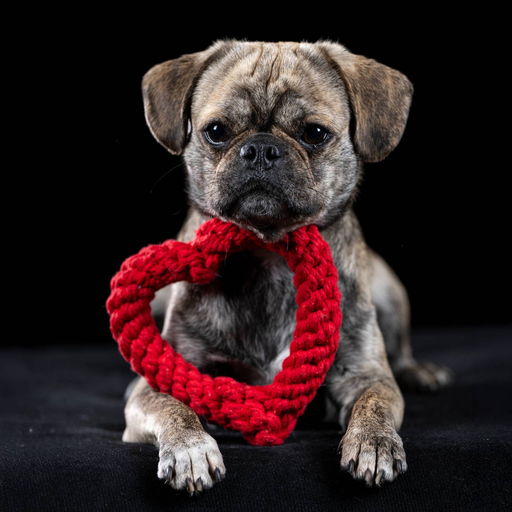 Hertha Heart: Medium Dog Toy Laboni