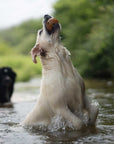 Hundespielzeug Rub Hole Grösse L