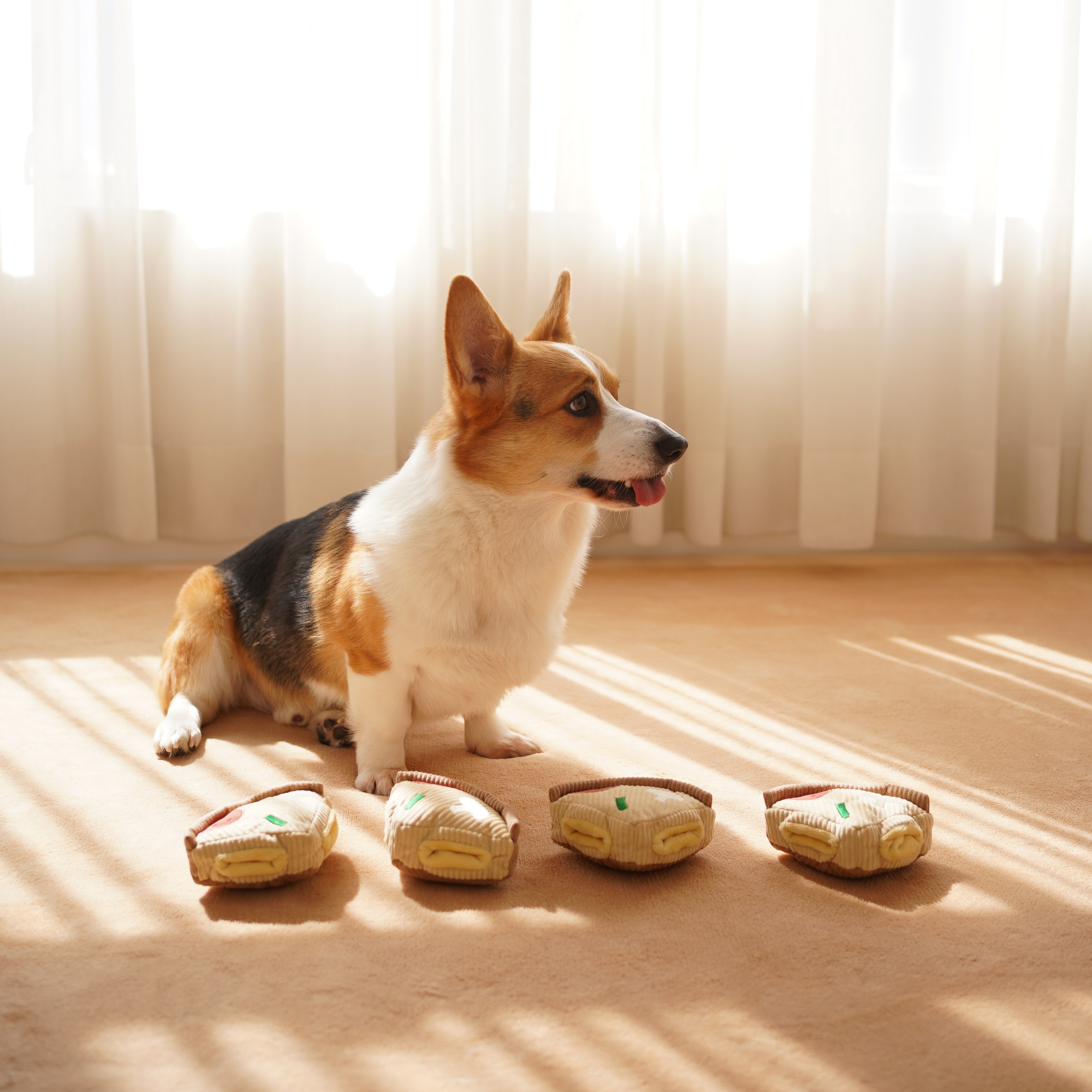 Hundespielzeug Schnüffelspiel Pizza