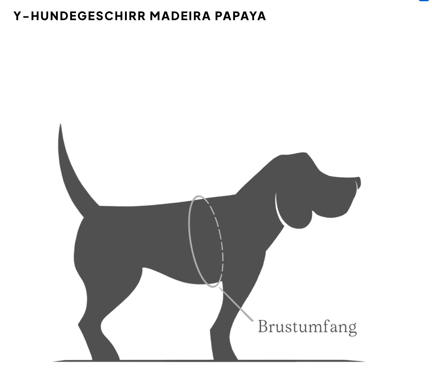 Y-Dog Harness Madeira Papaya