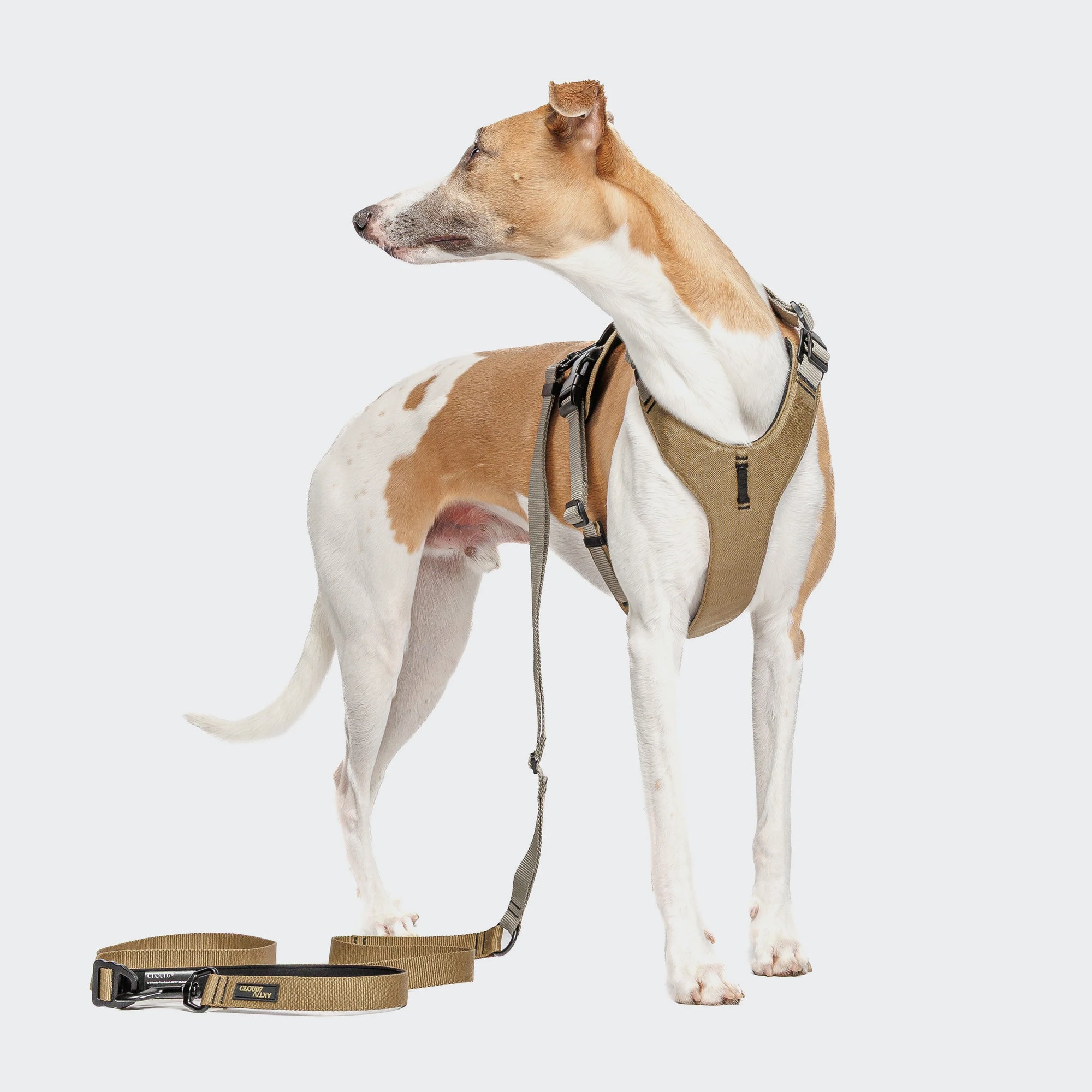 L-1 Freihandleine AKTIV Khaki Grey