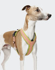 Y-1 Geschirr AKTIV Air-Mesh Peach