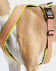 Y-1 Geschirr AKTIV Air-Mesh Peach