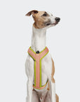 Y-1 Geschirr AKTIV Air-Mesh Peach