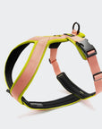 Y-1 Geschirr AKTIV Air-Mesh Peach