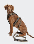 L-2 Jogging-Leine AKTIV Olive