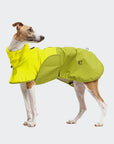 Hunderegelmantel Aktiv Neon Green