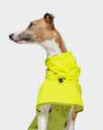 Hunderegelmantel Aktiv Neon Green