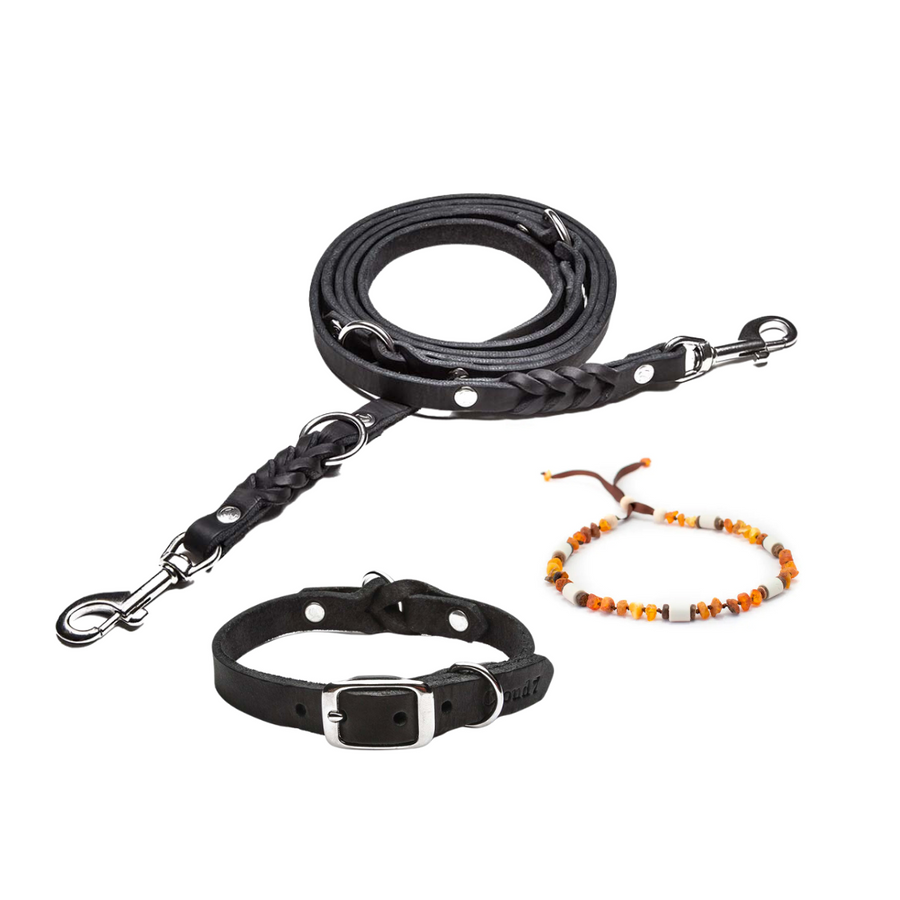 Essentials fürs Gassi gehen