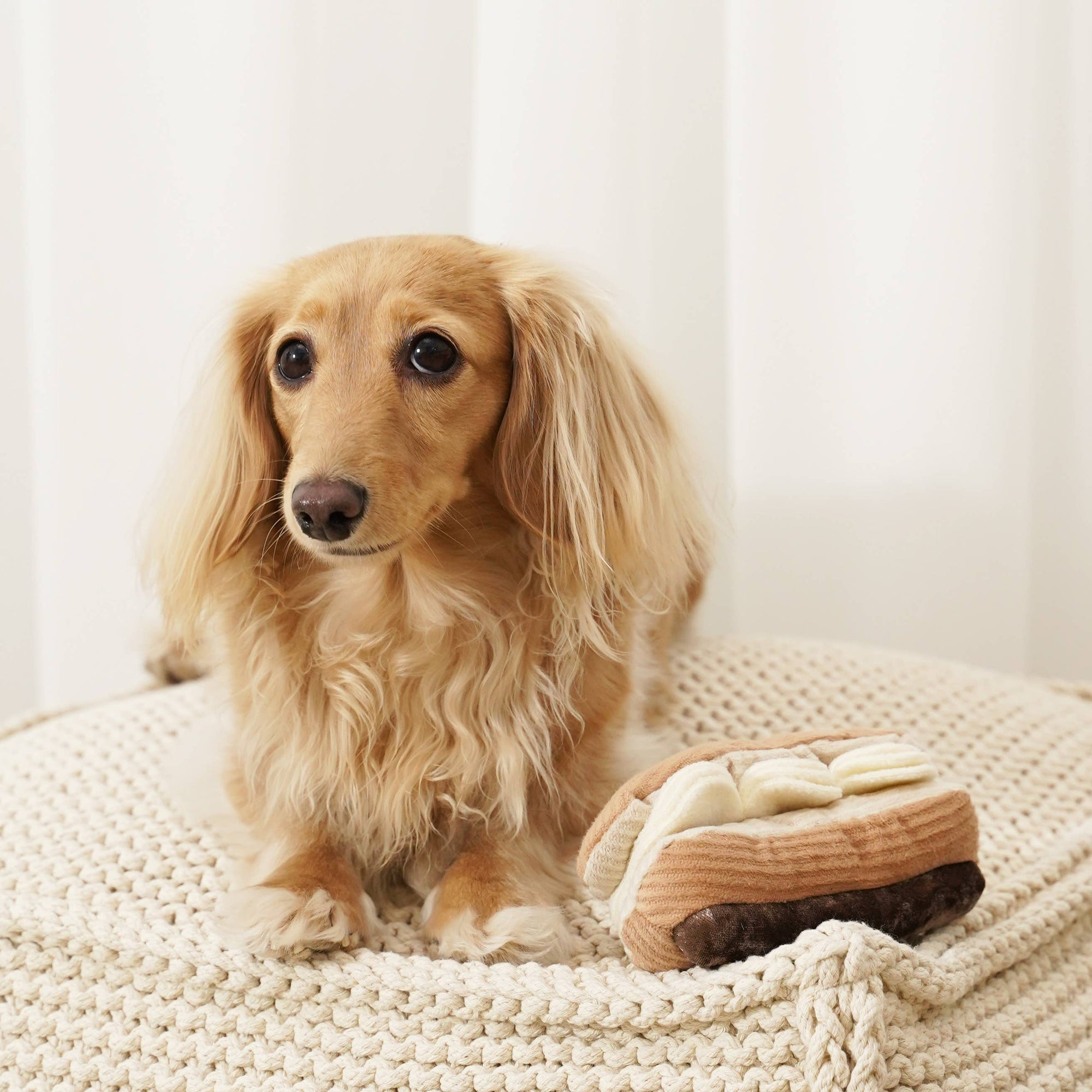 Hundespielzeug Schnüffelspiel Eclair