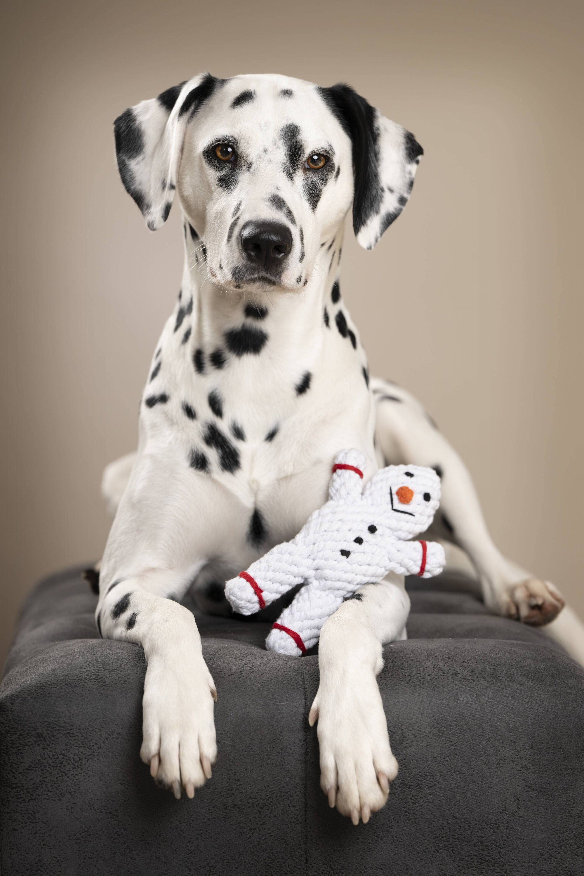 Shawn the Snowman Dog Toy Laboni