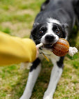 Hundespielzeug Rub Floating Dental Ball