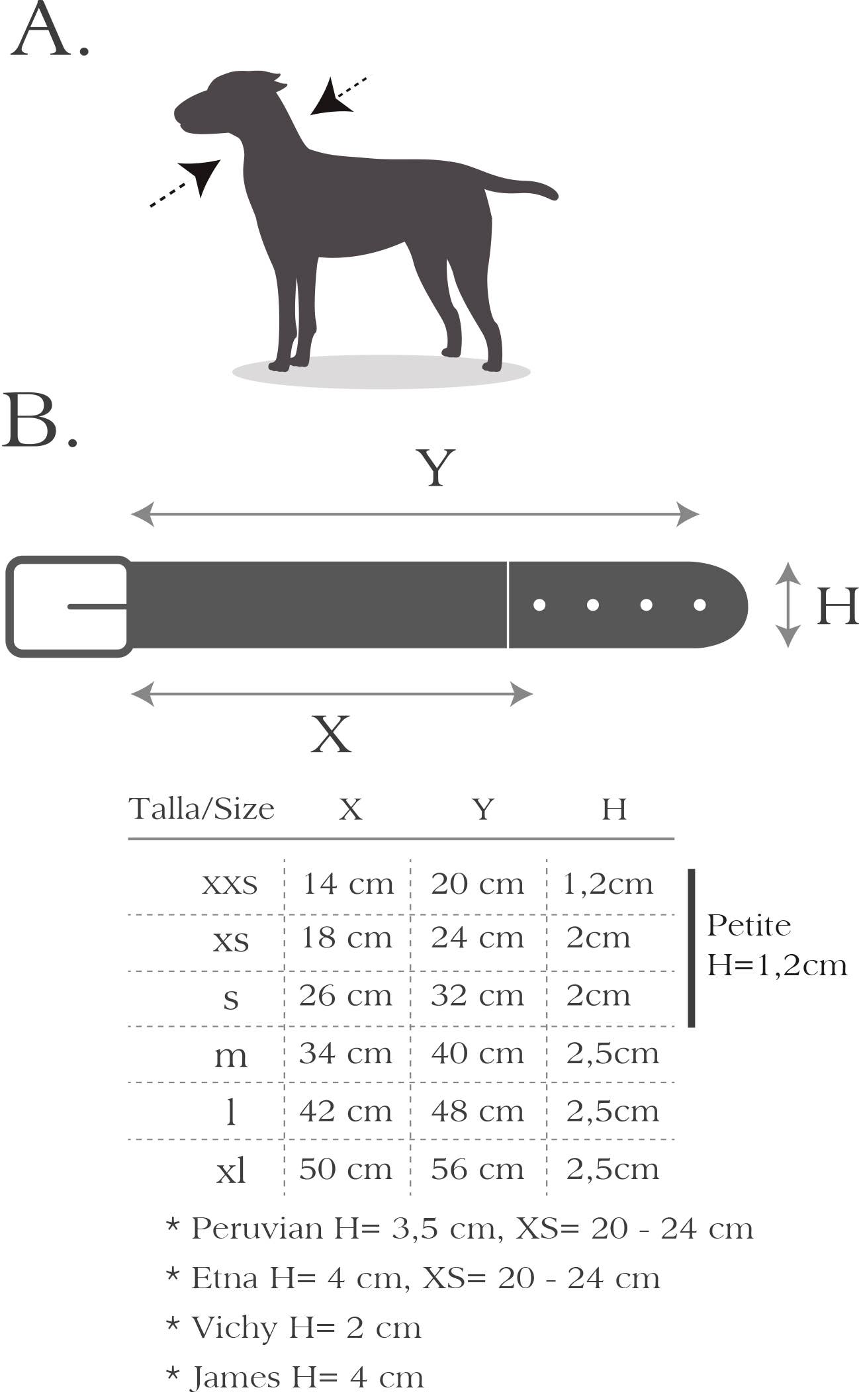 Hundehalsband Peruvian Arrow Rot: M