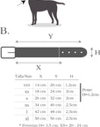 Hundehalsband Peruvian Arrow Rot: M