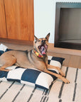 Hundebett The Fritz Bed Grande – Striped